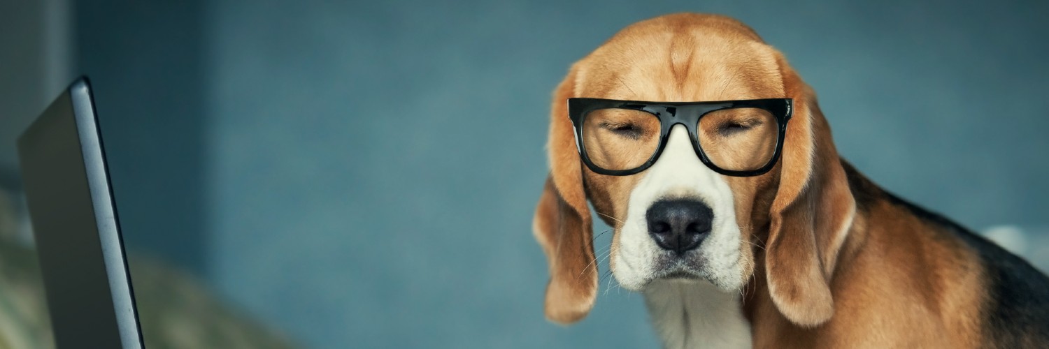 3 Reasons why Integrated Marketing Works Big Red Dog Marketing